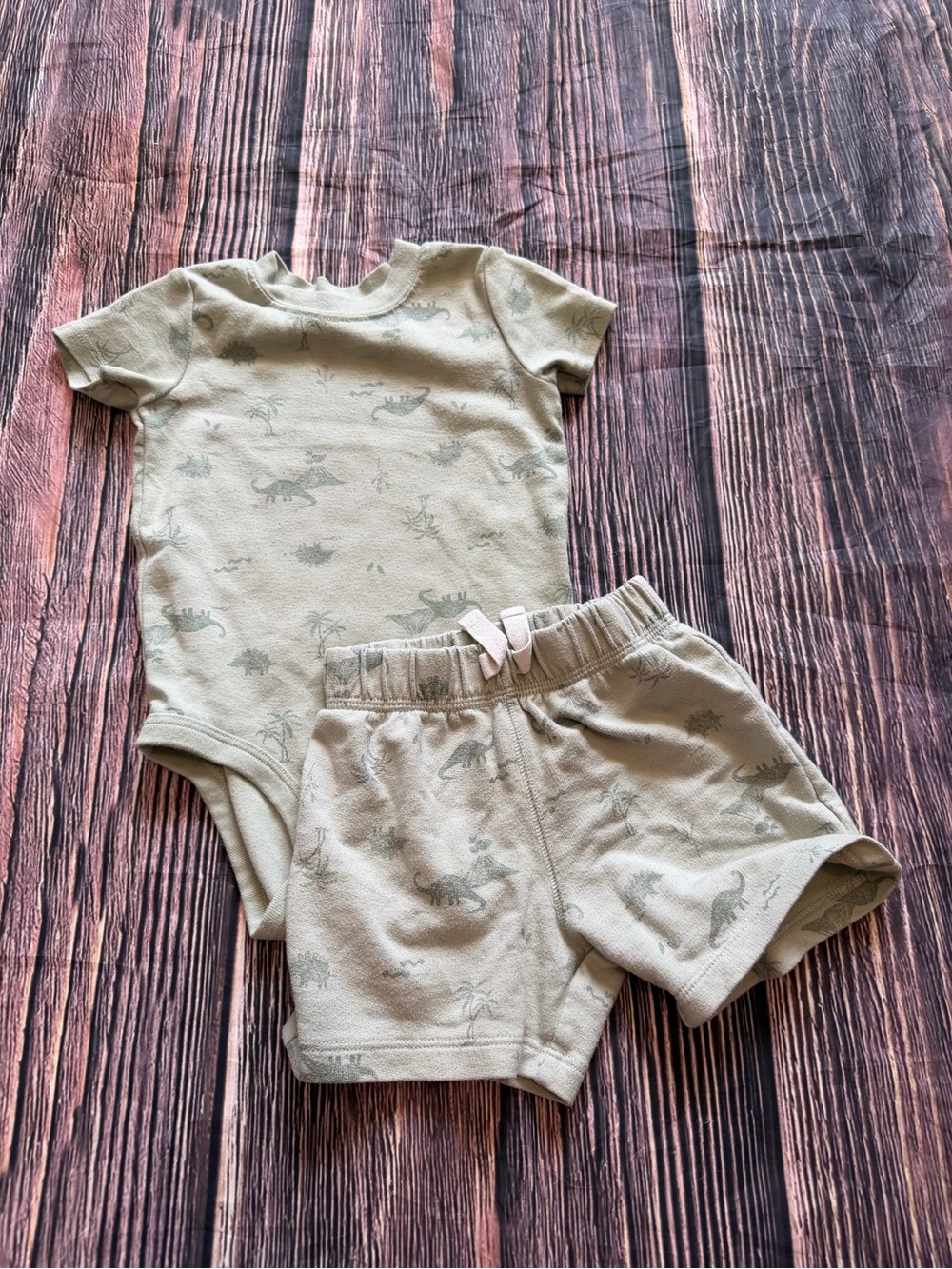 Carter’s Baby Boys Dinosaur 2-Piece Outfit Set Size 12M